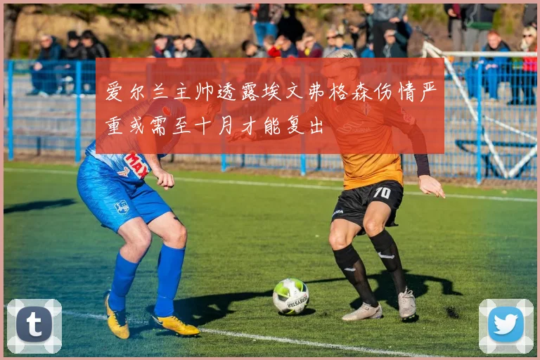 爱尔兰主帅透露埃文弗格森伤情严重或需至十月才能复出