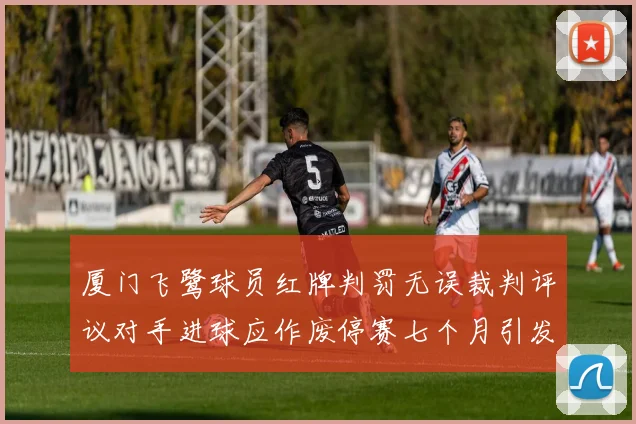 厦门飞鹭球员红牌判罚无误裁判评议对手进球应作废停赛七个月引发热议